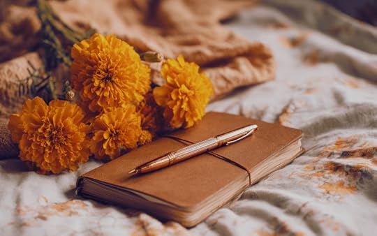 Rough Draft Challenge RDC NaNo 2.0