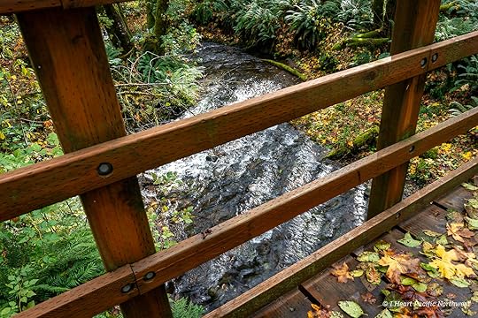 Wilson River Trail Hike & Tillamook Forestry Center
