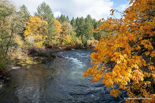 Wilson River Trail Hike & Tillamook Forestry Center