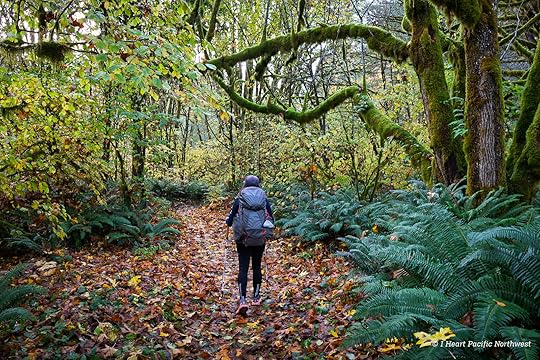 Wilson River Trail Hike & Tillamook Forestry Center