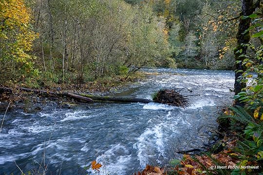 Wilson River Trail Hike & Tillamook Forestry Center