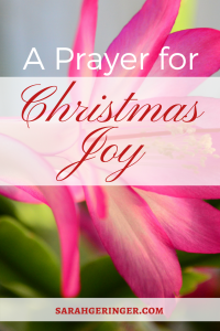 A prayer to inspire joy this Christmas.