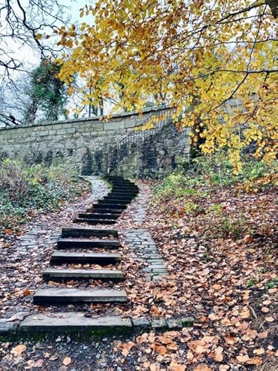 Winding steps at the Brig o' Balgownie, yellow autumnal tree to side