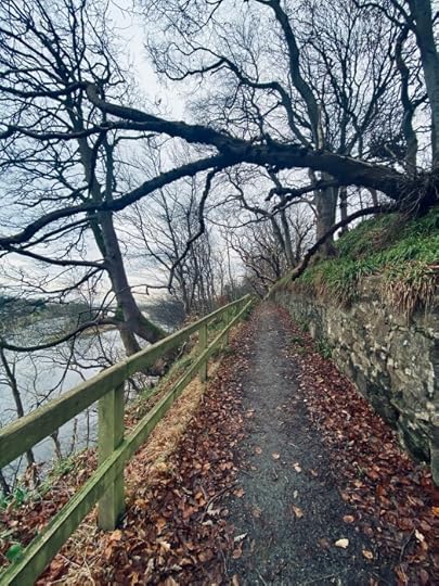 Path near the Brig o' Balgownie through dark trees