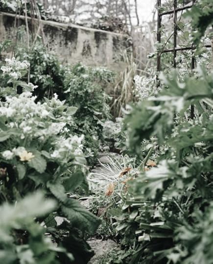 May be an image of the Cotswolds