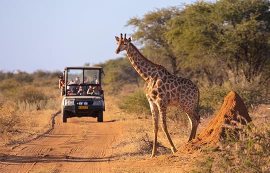 african-wildlife-safari-travel-main