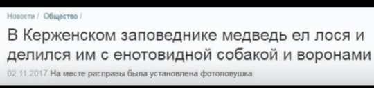 холод-голод от никиты куприянова.png