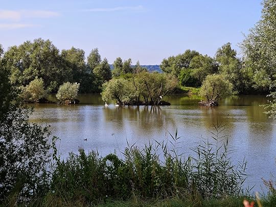 The Ooijpolder, the Netherlands (Via Wikimedia Commons)