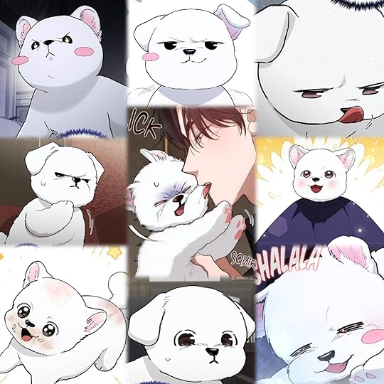 In Collage 20260110 225509948