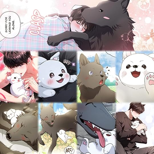 In Collage 20260111 082852102