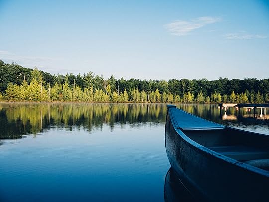 grey canoe on calm body of water near tall trees at daytime