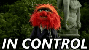 The HSP Declutter Cleanse in control