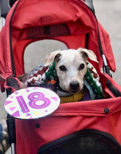 c12f32f982076a9d831dbb36a8055619