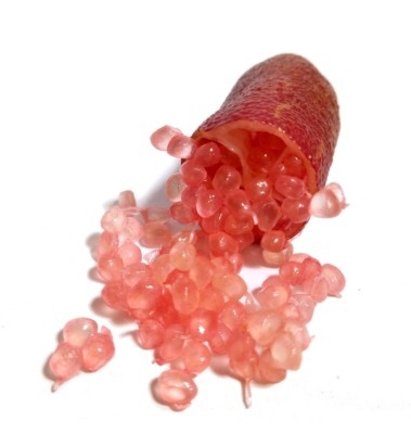 Red finger lime