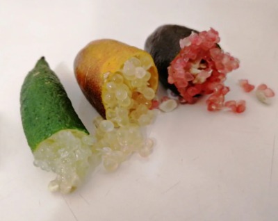 Colorful finger limes