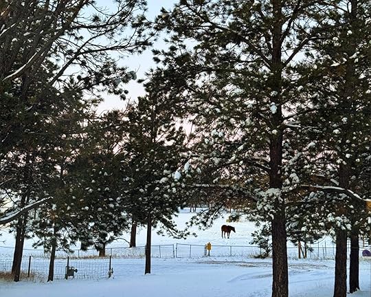 These are a Few of My Favorite Things: Winter Is Wintering