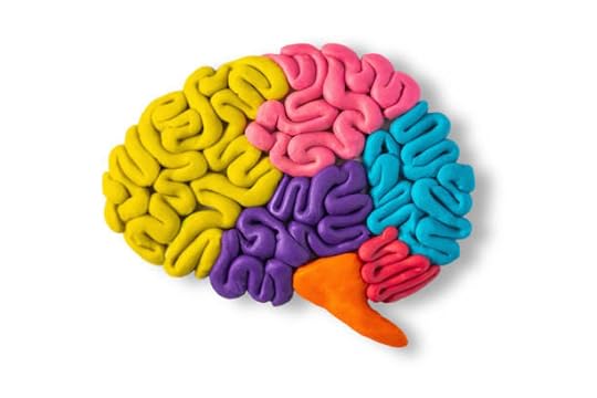 Multicolored clay model of a brain symbolizing neuroplasticity and how to change your limiting beliefs.