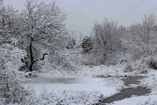 Snow-kissed landscape in the Lost Orchard