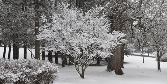 Winter snow at Riverwood