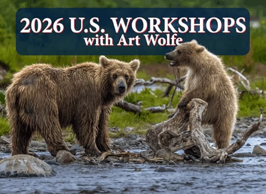2026 U.S. Workshops with Art WolfeTwo Brown Bears, Katmai, Alaska.