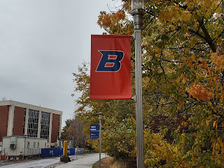 Image of an orange flag with a big letter 'B' on it. Hanging on a silver pole next to a leafy tree.