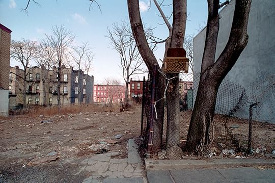 East New York 