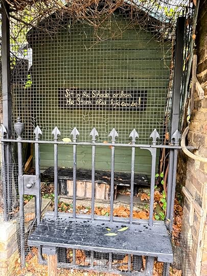 Photo of street bench offering shelter from the storm