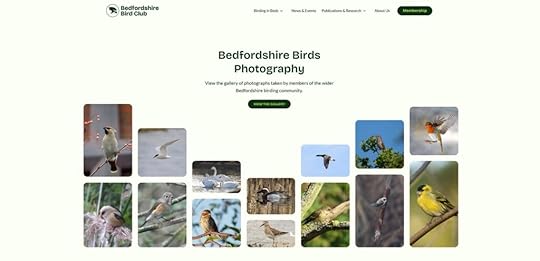 Screenshot of the Bedfordshire Bird Club website gallery.