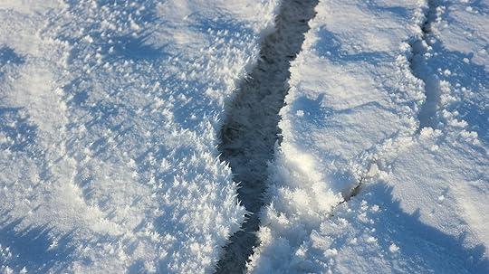 A person riding skis down a snow covered slope