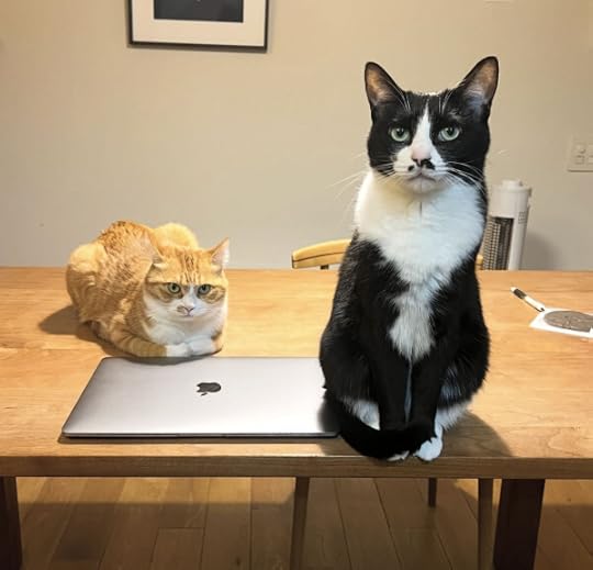 2025-11-28 23-12-05.jpg