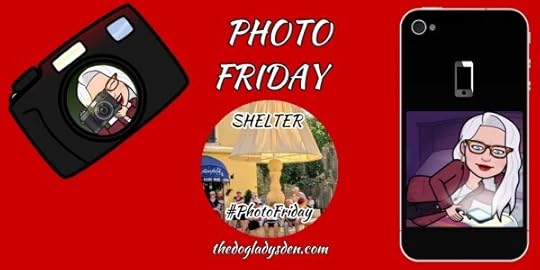PHOTO FRIDAY SHELTER