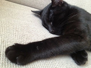 The Studio Murder Mystery Movie is a 1927 murder whodunit.