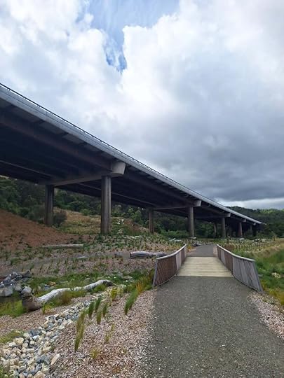 Wetlands and highway road viaduct