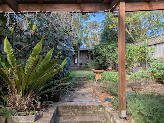The garden that I grew over the last twenty five years. Also grown - two small humans to independence and four novels