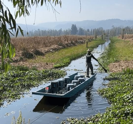 a man paddling a flat bottomed boat in a canal