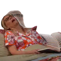a woman laying on a bed reading a book titled the queen 's dilemma