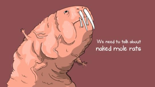 We need to talk about naked mole rats
