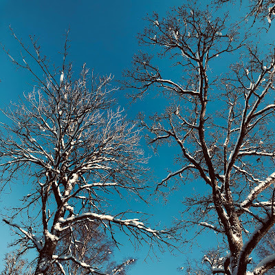 WinterSky-nannenyander.se