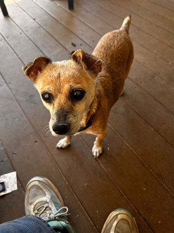 photo of cornmeal bag