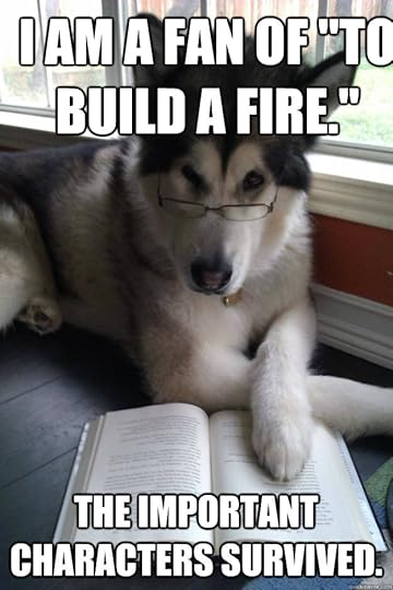 dog to build a fire