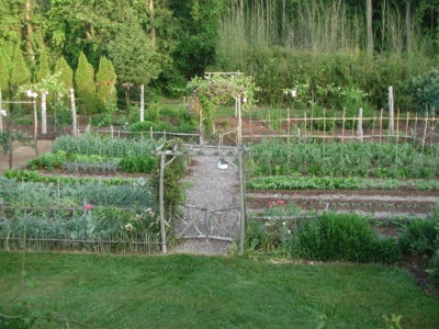 Vegetable garden beds