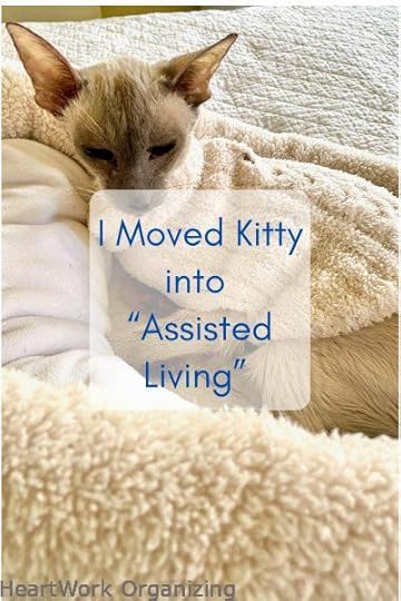 I Moved Kitty into Assisted Living
