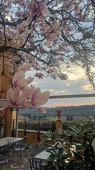 Mangolia Garden Firenze