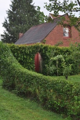 Hedges need repeated shearing with hedge shears each season 