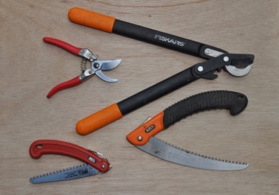 Various pruning tools