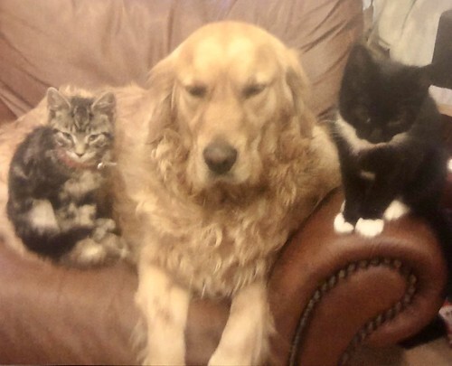 44570d840d75de9ce131d025c28b675f