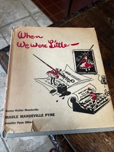 Book Cover, Mable Pyne, When We Were Young