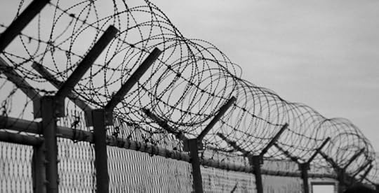 Image of razor wire fence