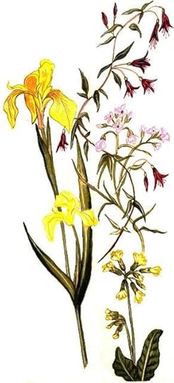 Copyright 2012 by DM Denton