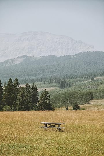 brown wooden bench in middle of open field overlooking mountains